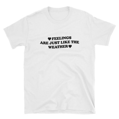 Feelings are just like the weather t-shirt