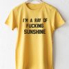 I'm A Ray Of Fucking Sunshine T-Shirt