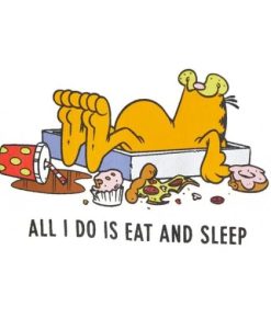 All I Do is Eat and Sleep Garfield T-shirt